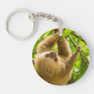 Getty Images   Upside Down Sloth Key Ring