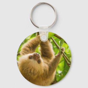 Getty Images   Upside Down Sloth Key Ring