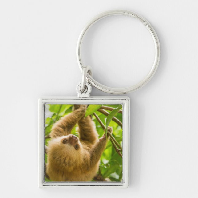 Getty Images | Upside Down Sloth Key Ring (Front)