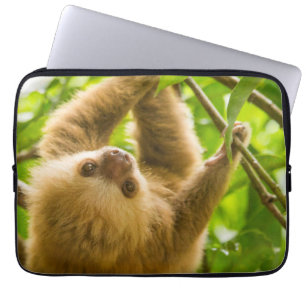 Getty Images   Upside Down Sloth Laptop Sleeve