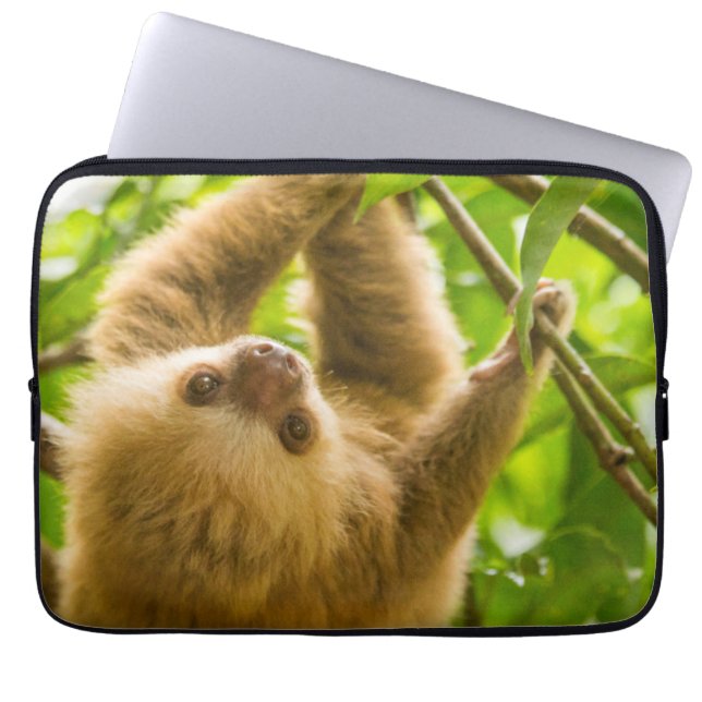 Getty Images | Upside Down Sloth Laptop Sleeve (Front)
