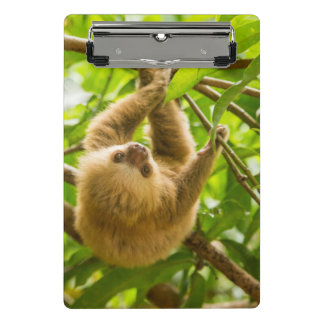 Getty Images | Upside Down Sloth Mini Clipboard