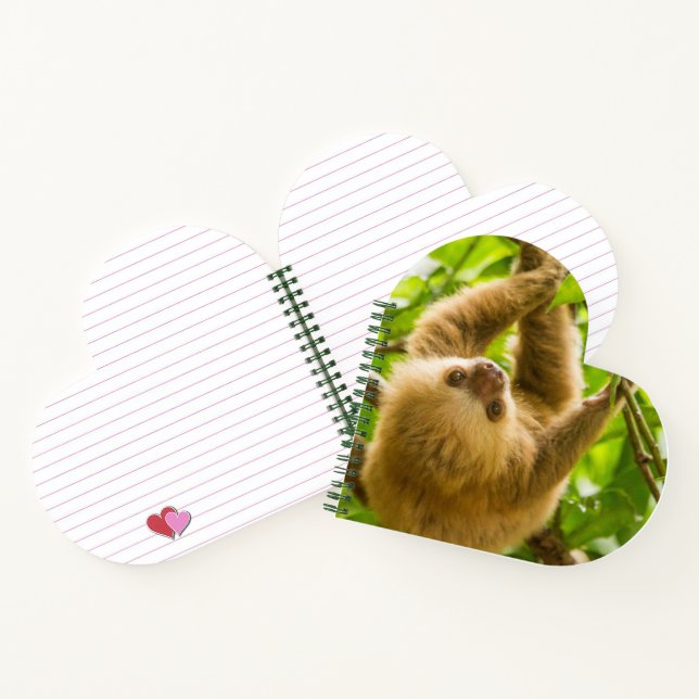 Getty Images | Upside Down Sloth Notebook (Inside)