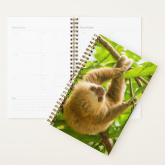 Getty Images | Upside Down Sloth Planner