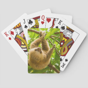 Getty Images   Upside Down Sloth Playing Cards