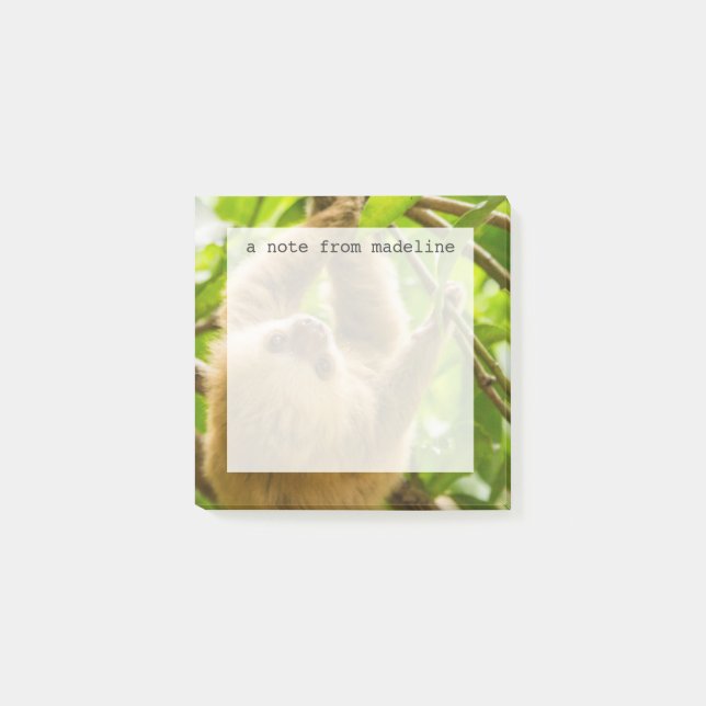 Getty Images | Upside Down Sloth Post-it Notes (Front)