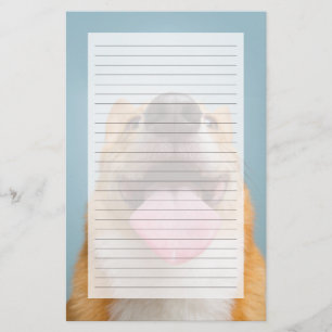 Getty Images Very Happy Corgi