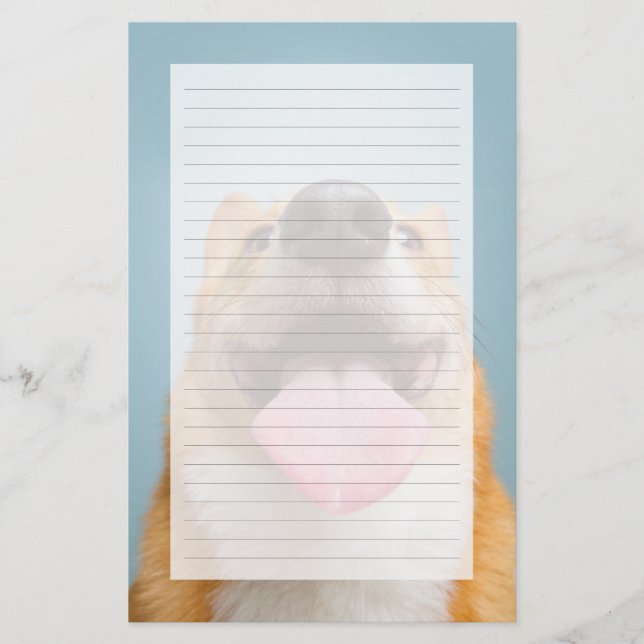 Getty Images | Very Happy Corgi (Front)
