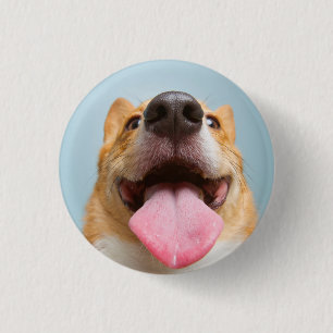 Getty Images Very Happy Corgi 3 Cm Round Badge