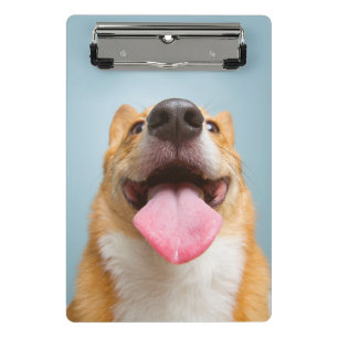 Getty Images Very Happy Corgi Mini Clipboard