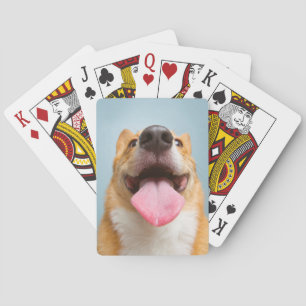 Getty Images   Very Happy Corgi Playing Cards