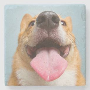 Getty Images   Very Happy Corgi Stone Coaster