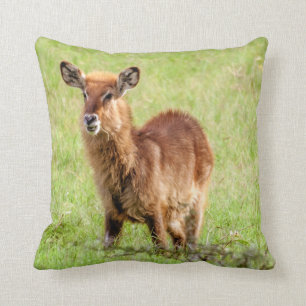 Getty Images Young Brown Antelope Waterbuck Cushion