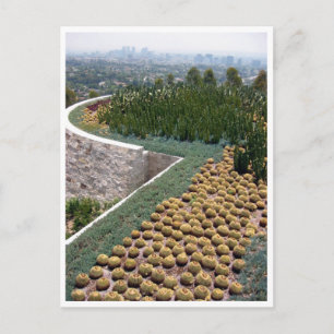 getty museum cacti postcard
