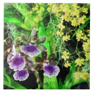 Geyser Jamie and Golden Fantasy Orchids Tile