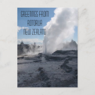 Geyser, Rotorua, New Zealand Postcard