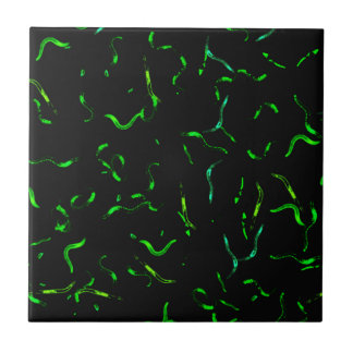 GFP worms Ceramic Tile