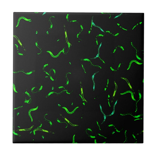 GFP worms Ceramic Tile (Front)