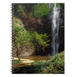 Ghana: Wli Falls, a.k.a. Agumatsa Falls (Volta Notebook