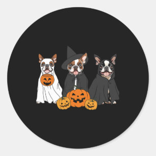 Ghost And Witch Boston Terrier Classic Round Sticker