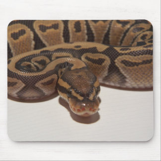Ghost Ball Python Mousepad