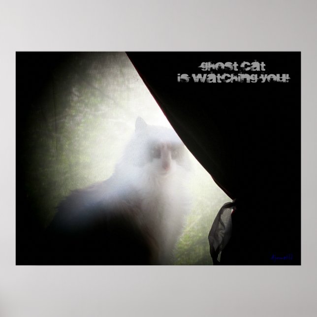 Ghost Cat Is Watching You Poster (Front)