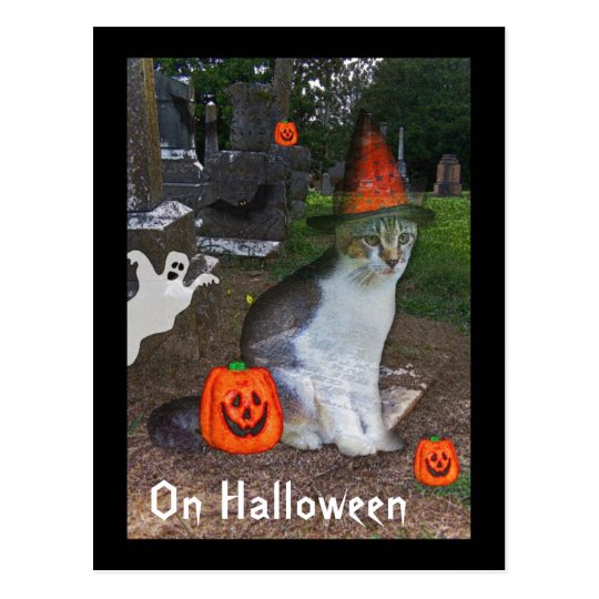 Ghost Cat Postcard