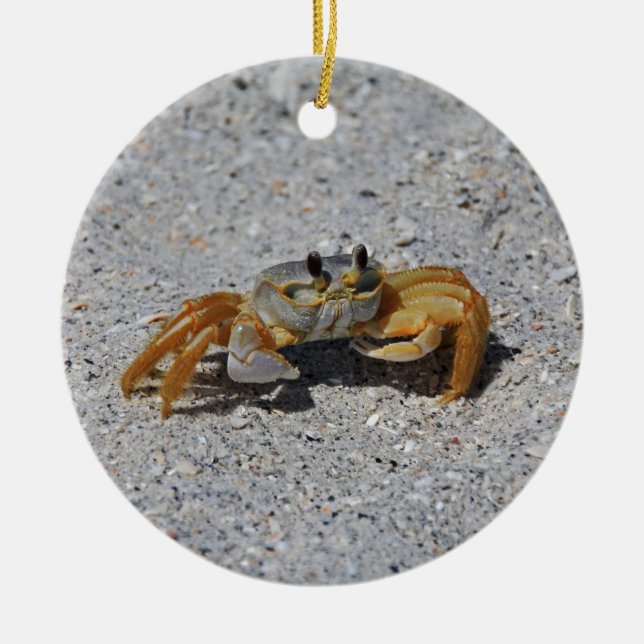 Ghost Crab Ceramic Tree Decoration (Front)