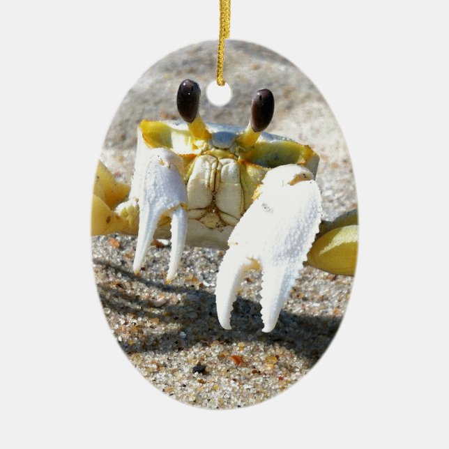 Ghost Crab Surprise Ceramic Ornament (Front)