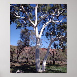 Ghost Gum in Alice Poster