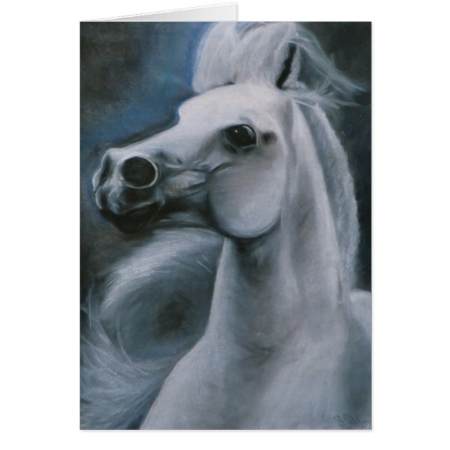 "Ghost Horse" equine card (Front)