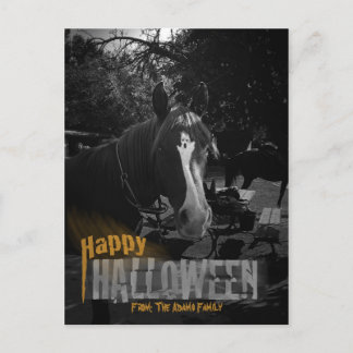 Ghost Horse Halloween Postcard