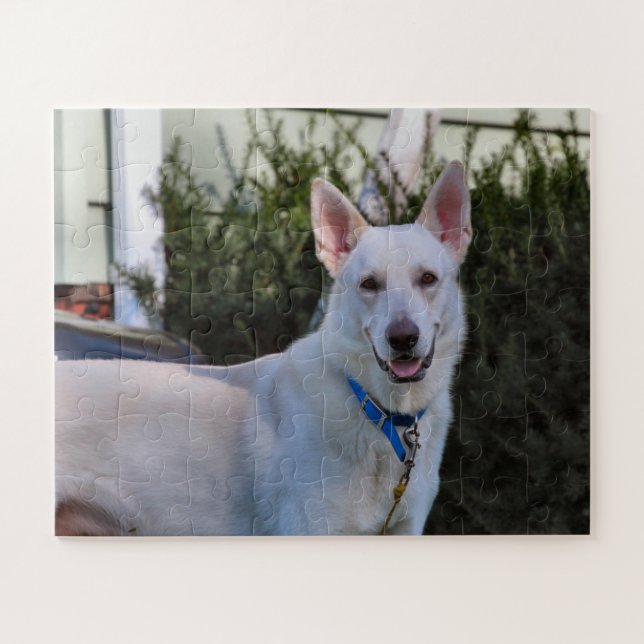 Ghost Jigsaw Puzzle (Horizontal)