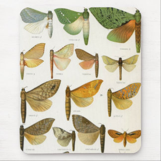 Ghost Moths Mouse Pad