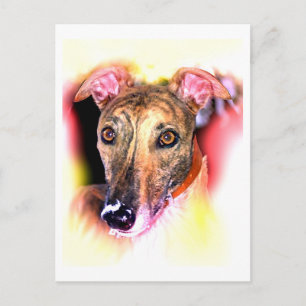 Ghost of a greyhound dog postcard
