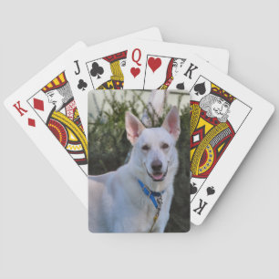 Ghost  playing cards