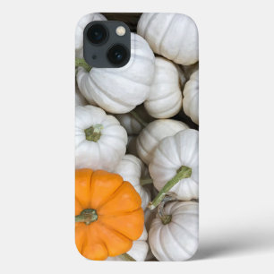 Ghost Pumpkins with a sneaky orange one iPhone 13 Case