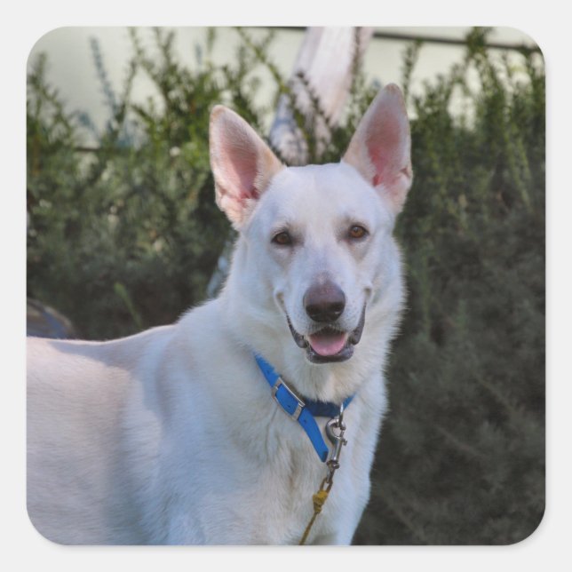 Ghost Square Sticker (Front)