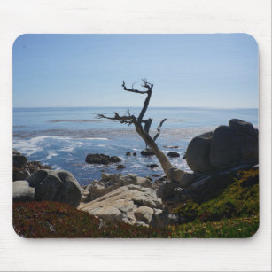 Ghost Tree – Scenic 17 Mile Drive Mouse Pad