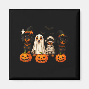 Ghost Witch Mummy Pumpkin Dachshund Dog Costume Ha Magnet