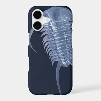 Ghostly Blue Paraceraurus Trilobite