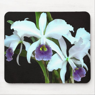 Ghostly Cattleyas Mouse Pad