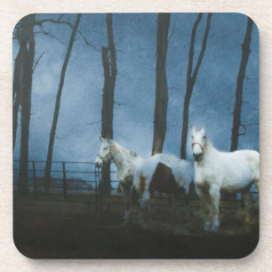 Ghostly Horses at Midnight Coaster