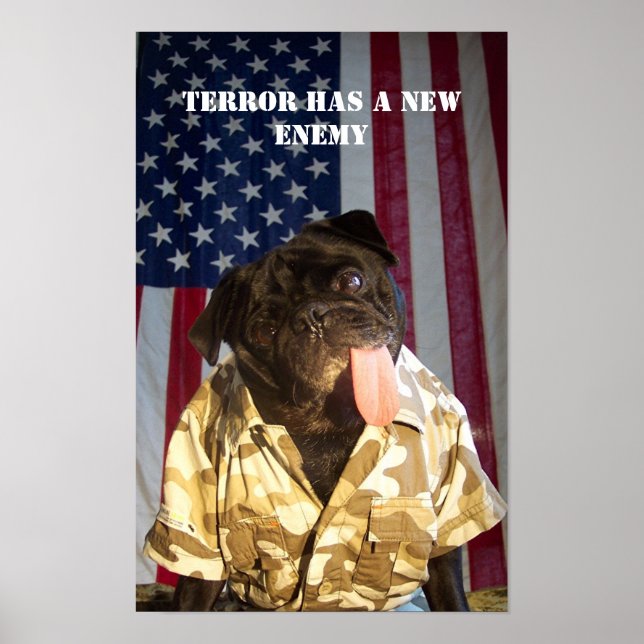 GI Yogi Fighting the war on terror Poster (Front)