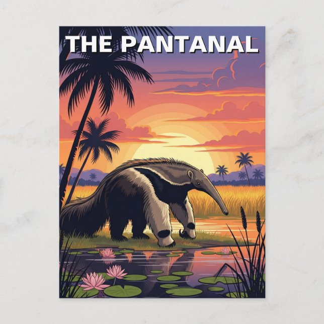 Giant Anteater in The Pantanal Postcard (Front)