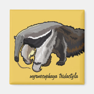 giant anteater magnet