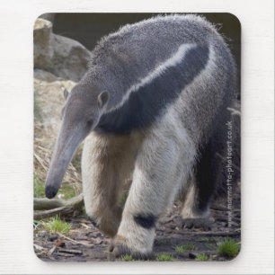 Giant Anteater Mousemat