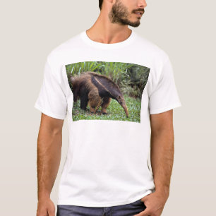 Giant anteater (Myrmecophaga tridactyla) T-Shirt