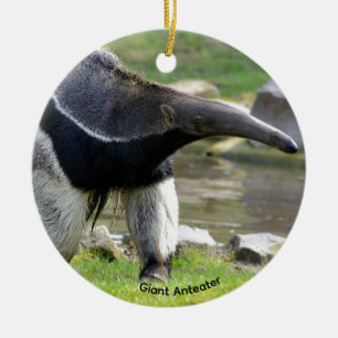 Giant Anteater walking on grass Ceramic Ornament