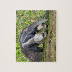 Giant Anteater walking on grass Jigsaw Puzzle